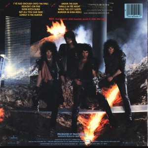cover_animalize_large_rear